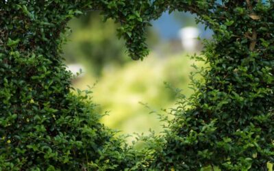 Tapping into the “green consumerism” trend