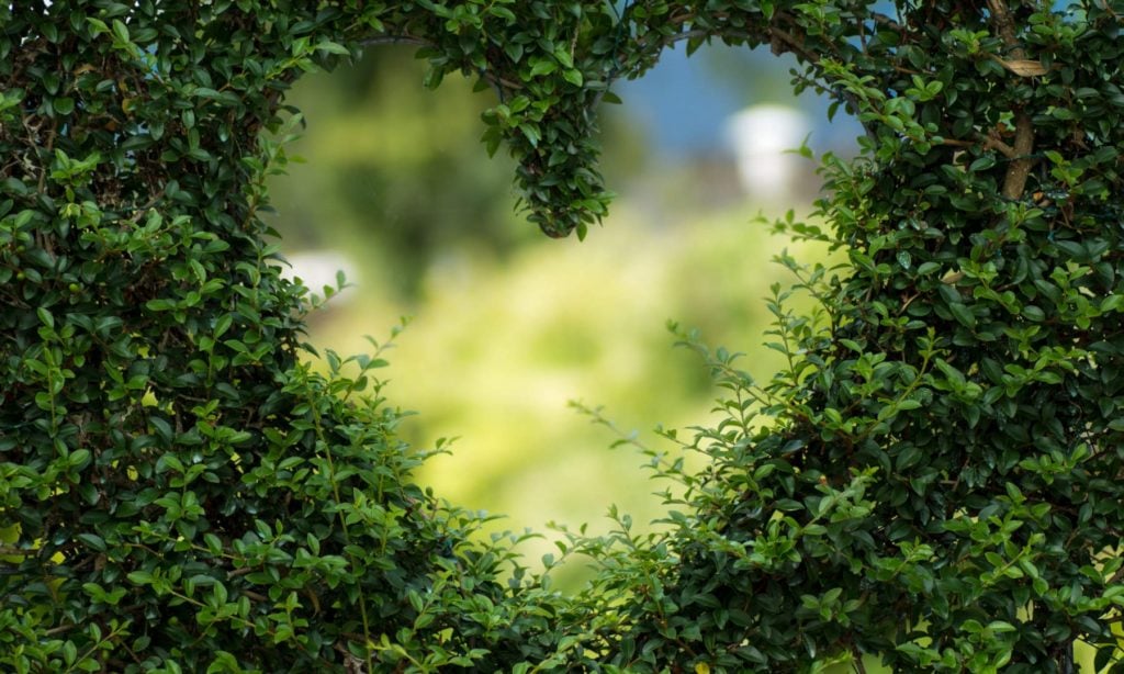 love-green-1024×614-1