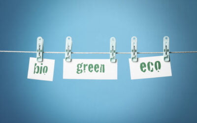 5 Ways to communicate your business sustainability credentials