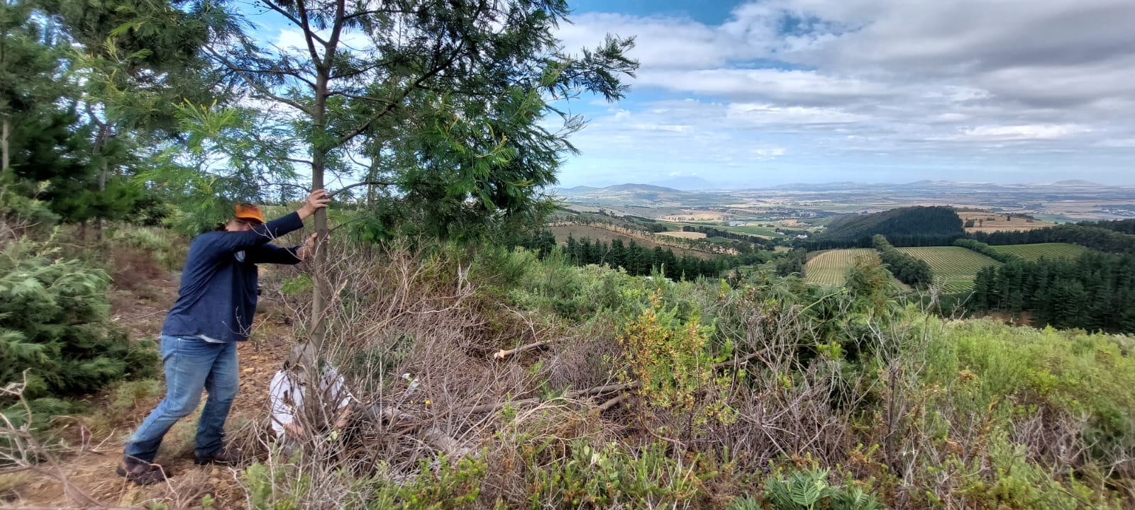 Credit: Delheim Hackers